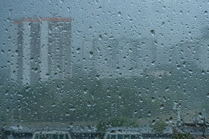 Летняя благодать: какой будет погода в ближайшие дни в Центральной России