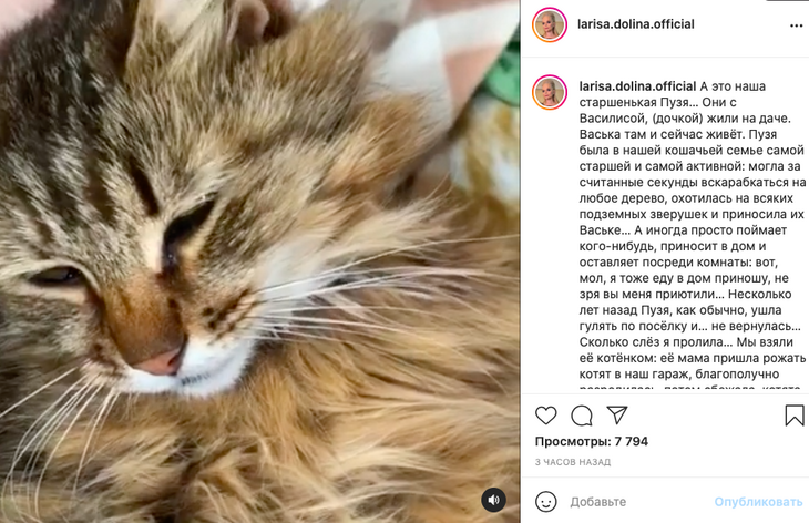 «Это было горем для меня»: Долина поделилась своей болью