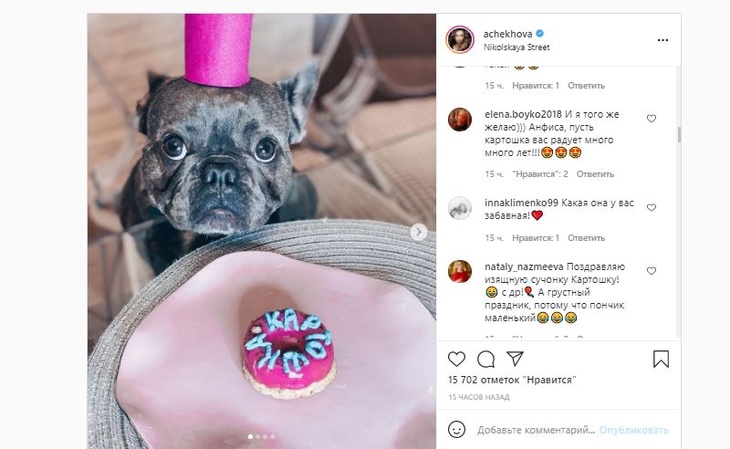 «Такой маленький!»: Чехова презентовала своей собаке именной микро-торт
