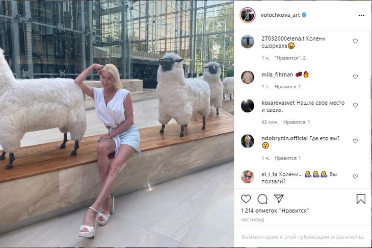 «Колени убитые, где вы ползали?»: Волочкова уселась среди баранов и озадачила фанатов