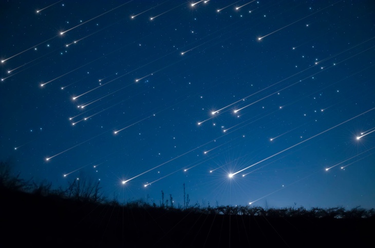 «Где-то закроют тучи»: астроном посоветовал место для наблюдения за метеорным дождем