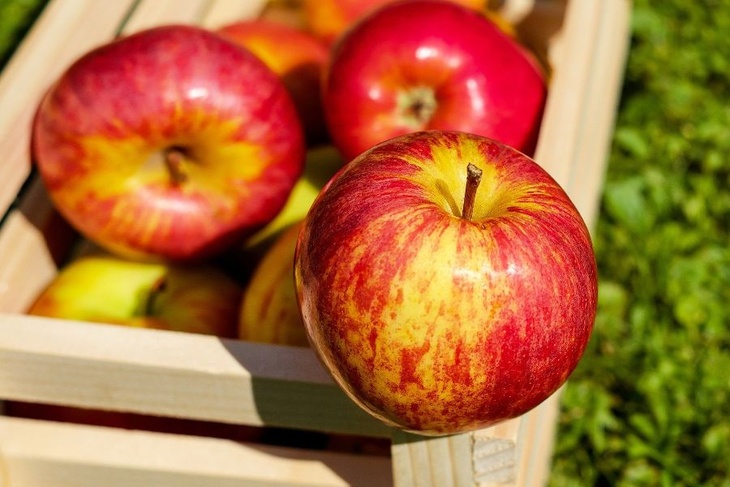 Красные, зеленые, желтые: какие яблоки следует выбирать людям в возрасте