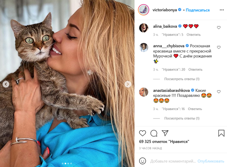 Любимую кошку Бони сравнили с очаровательной хозяйкой