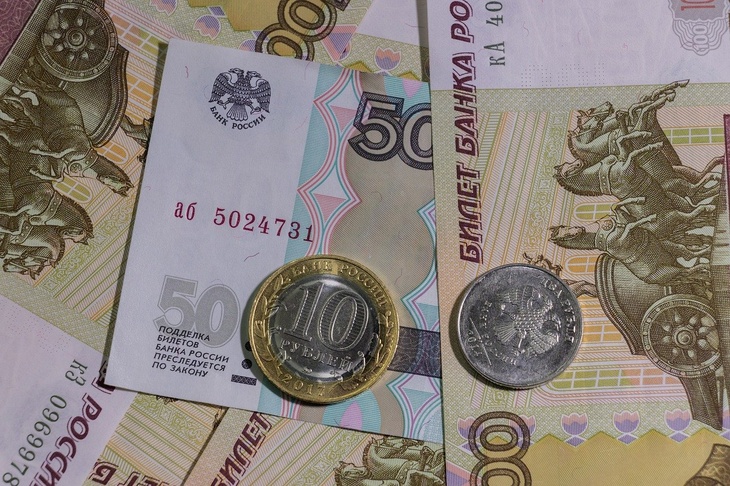 Экономист назвал условия, при которых будет возможно снижение бедности в России