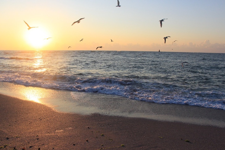 Экологи заявили о реальной угрозе нефтяного загрязнения пляжей на Черном море