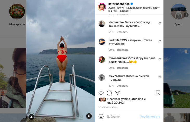 «Классно рыбкой нырнула»: Шпица эффектно поплавала с дельфинами