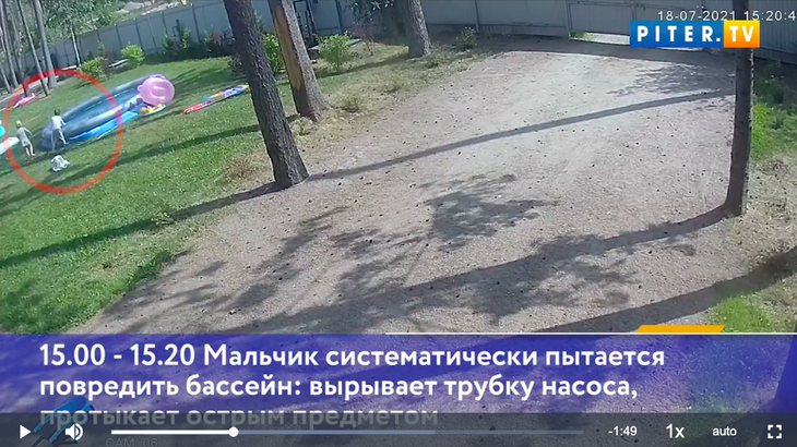 Камеры видеонаблюдения показали, что избиения сына Стаса Пьехи не было