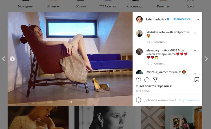 Шпица показала изящные ноги и пышное декольте в сияющем платье