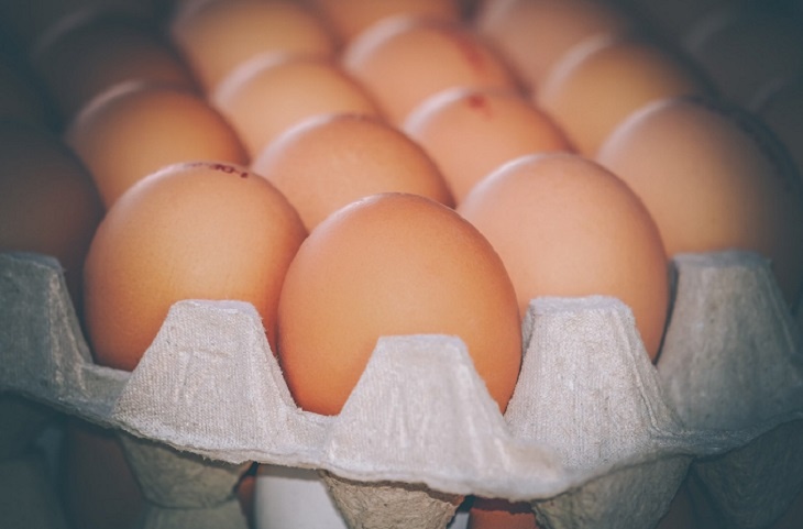 «Может подскочить еще выше»: эксперты объяснили повышение цен на курицу и яйца