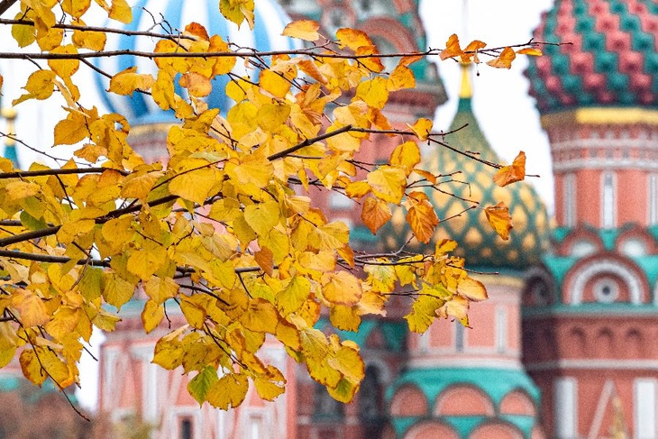 В Москву пришла метеорологическая осень: какая погода ждет жителей столицы