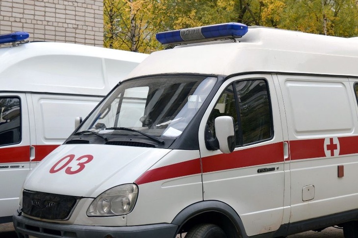 Смертельное отравление арбузом в Москве: почему криминалисты не исключают умышленное убийство