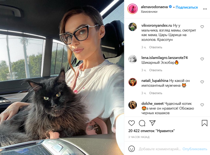 «Сатана»: Водонаева показала своего кота и впечатлила поклонников