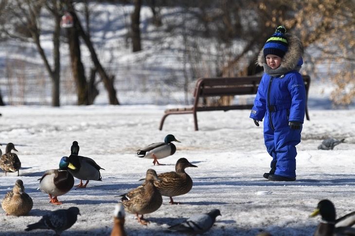 Закружат «белые мухи»: придет ли зима в Москву раньше декабря