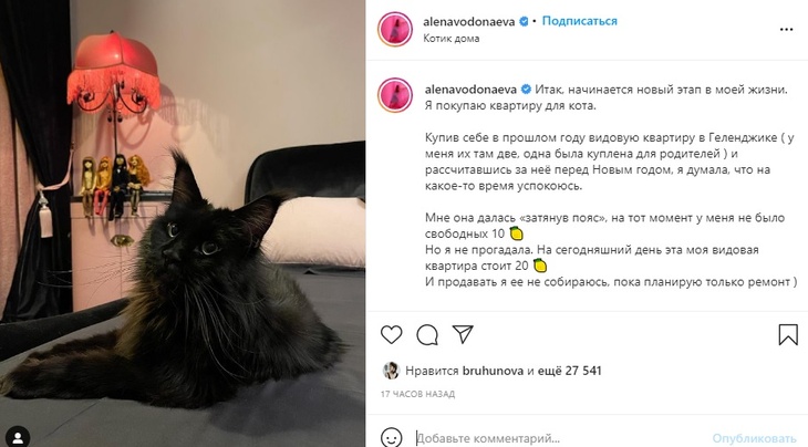 «Здравствуй, ипотека»: Водонаева покупает квартиру для своего кота в центре Моквы