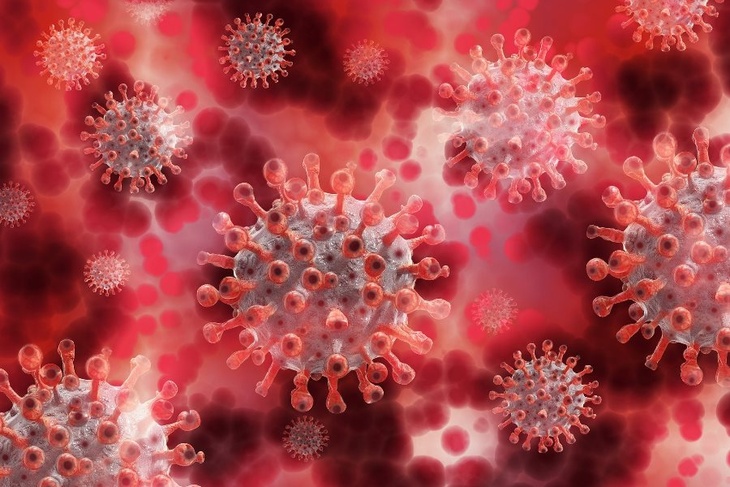 Может нанести очередной удар: в России выявили новый коронавирус AY.4.2