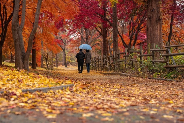Поражение дыхательных путей: иммунолог рассказал, чем опасны прогулки по опавшей листве
