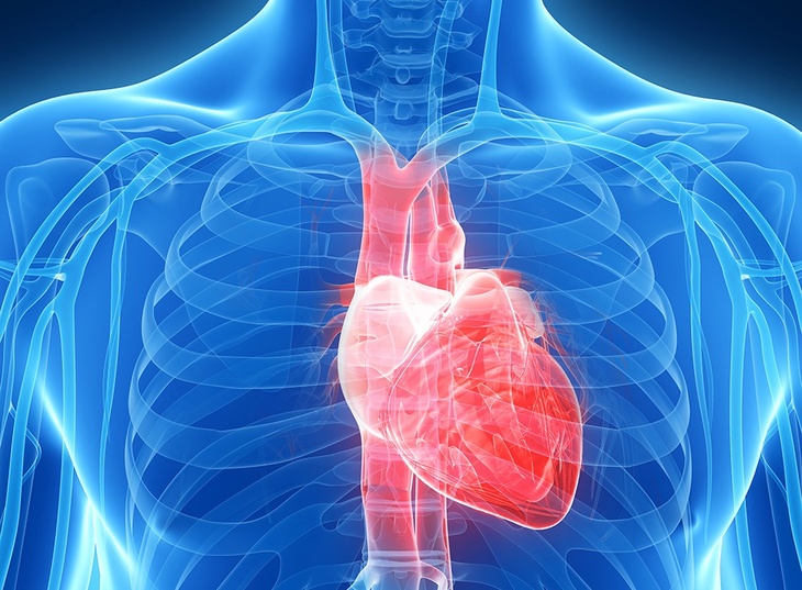 Доведут до инфаркта: врач Мясников назвал лекарства от изжоги, разрушающие сердце