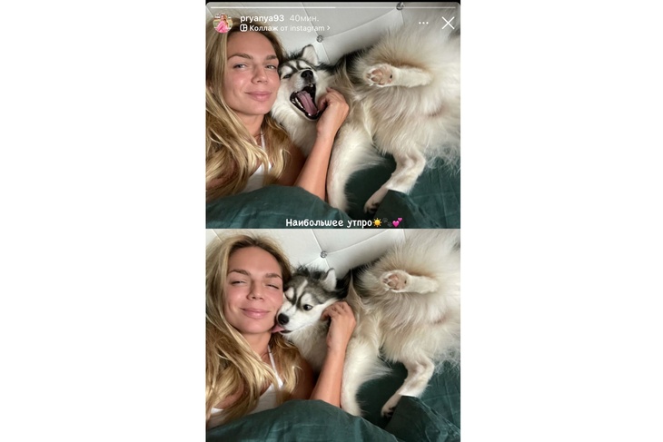 Ефимова показала, как нежится в постели со своим «лучшим другом» Джаспером