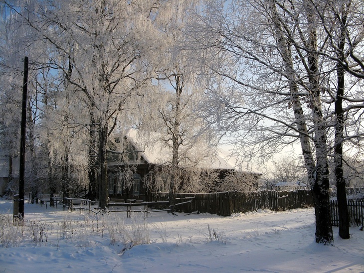 Около или выше нормы: в Гидрометцентре россиянам пообещали комфортную зиму