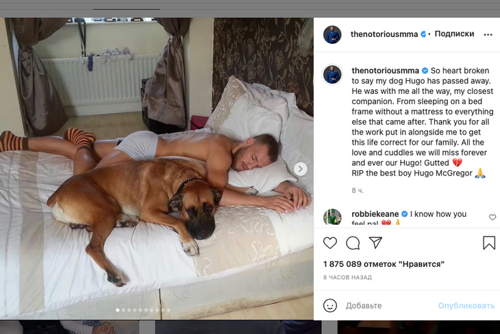 Весь в эмоциях: Макгрегор сообщил о смерти члена семьи Весь в эмоциях: Макгрегор сообщил о смерти члена семьи