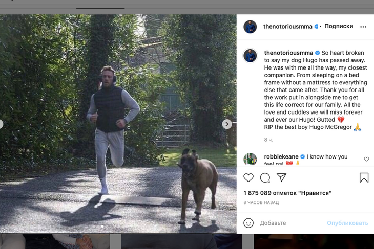 Весь в эмоциях: Макгрегор сообщил о смерти члена семьи Весь в эмоциях: Макгрегор сообщил о смерти члена семьи
