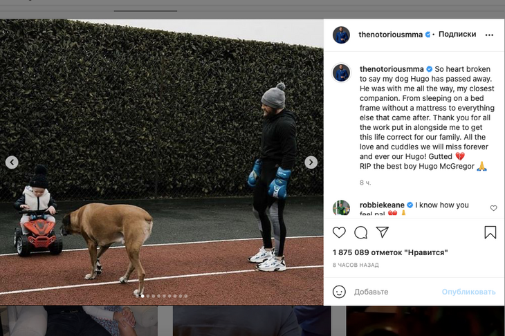 Весь в эмоциях: Макгрегор сообщил о смерти члена семьи Весь в эмоциях: Макгрегор сообщил о смерти члена семьи