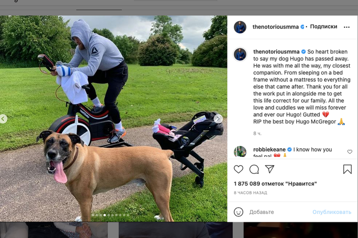 Весь в эмоциях: Макгрегор сообщил о смерти члена семьи Весь в эмоциях: Макгрегор сообщил о смерти члена семьи