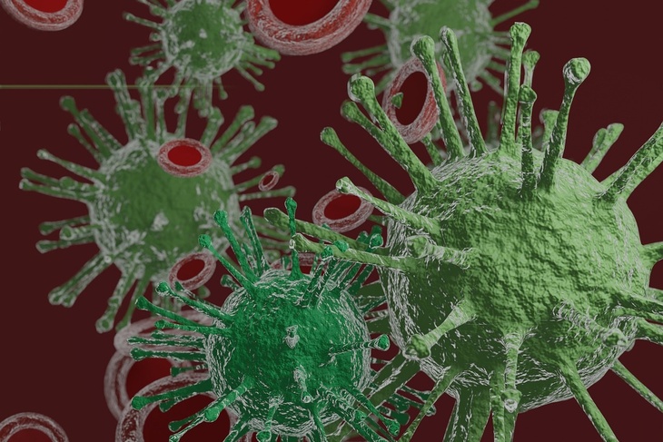 Инфекционист назвал органы, которые чаще всего поражает коронавирус