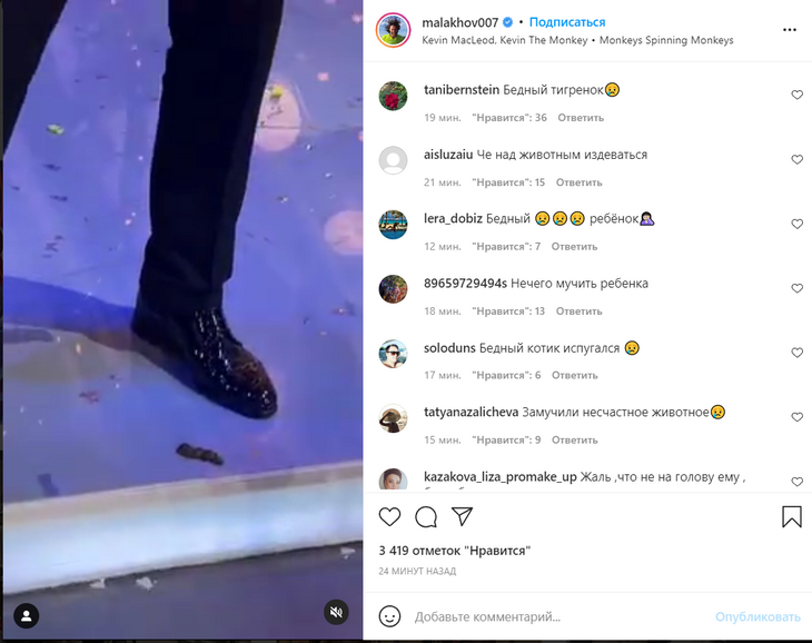 «Не смог сдержать радости»: тигренок описал Баскова на съемках новогоднего шоу