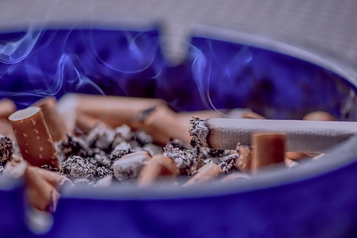 Токсиколог Кутушов рассказал, сколько выкуренных сигарет могут привести к смерти