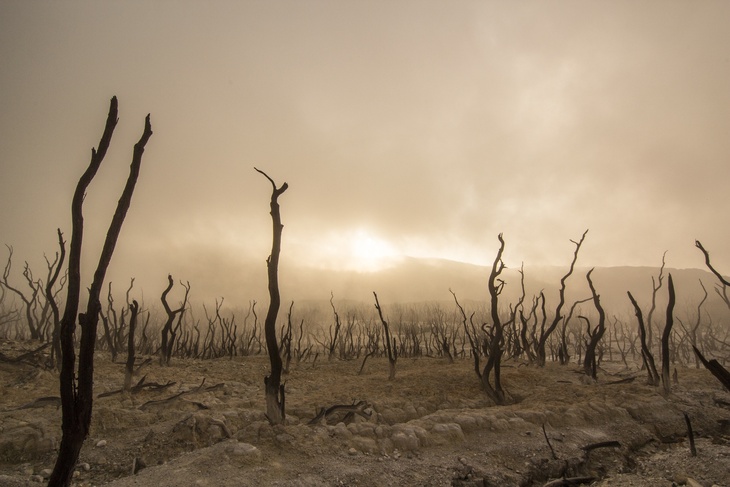 Изменение климата может привести к глобальной засухе
