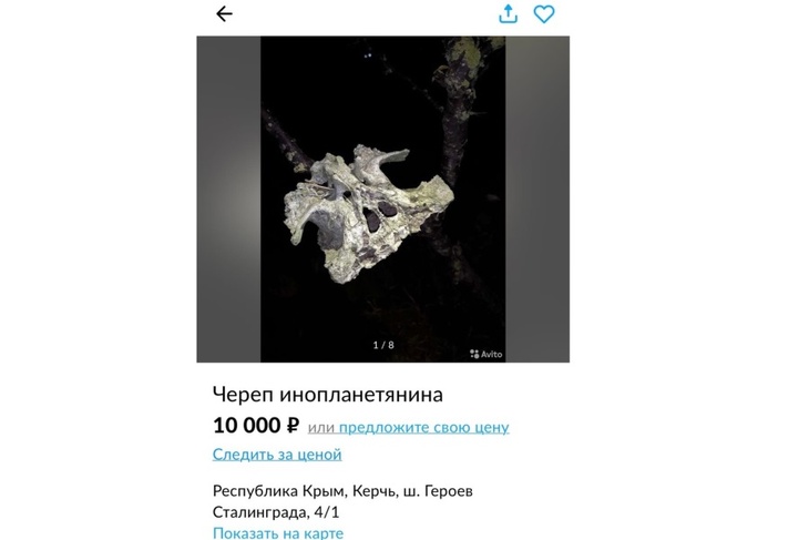 После крушения НЛО в 60-х годах: в Керчи продают «череп инопланетянина»