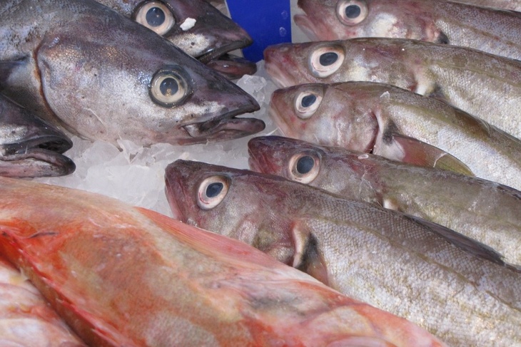 Диетолог назвала россиянам два самых полезных вида рыбы