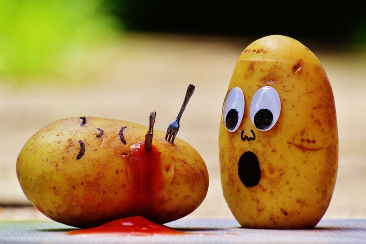 Нутрициолог объяснила, как выбрать наименее вредный картофель
