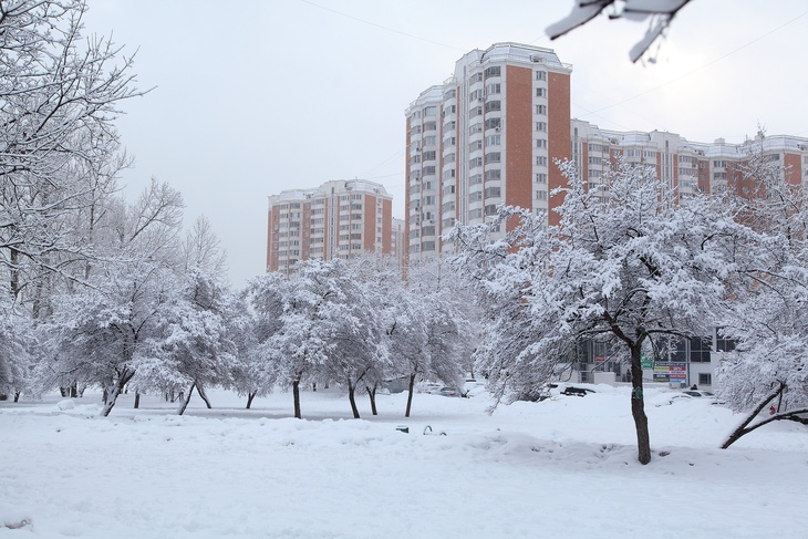 Будет очень холодно: Вильфанд предрек аномальные морозы до -15 в ноябре в ряде регионов России