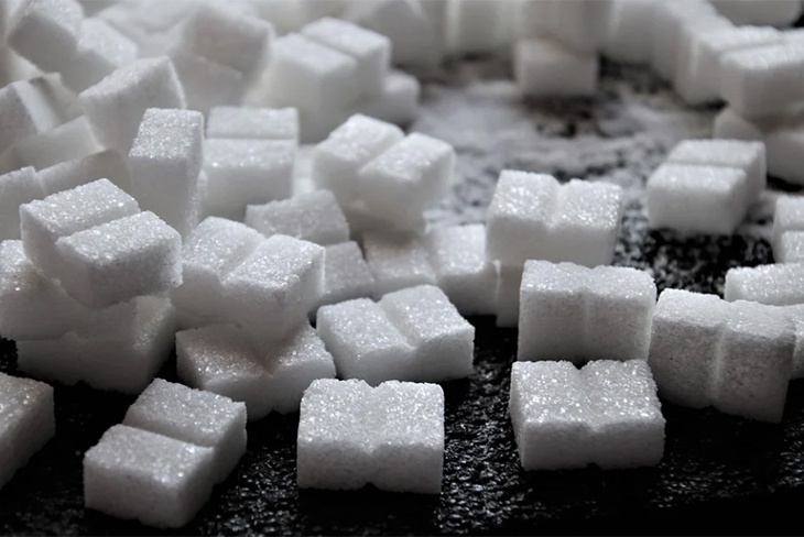 «Все равно ведет к ожирению»: доктор Мясников высказался о сахарозаменителях