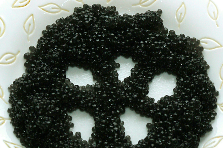 Зачем звезды делают маски из птичьего помета и черной икры