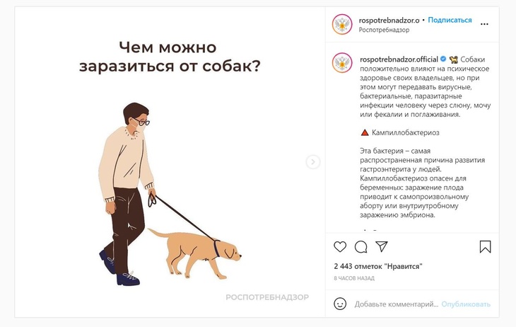 Роспотребнадзор назвал смертельные болезни, которыми можно заразиться от собаки