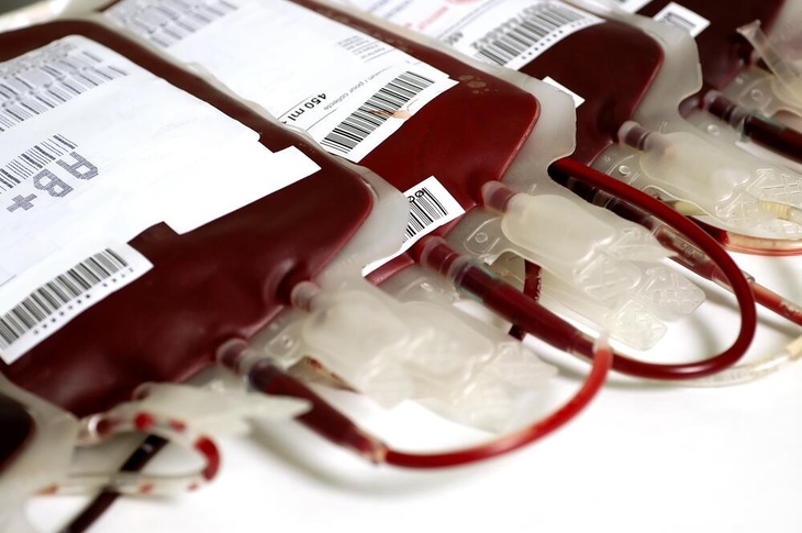 «Под воздействием бактерий»: врач Мясников рассказал о возможности изменения группы крови человека