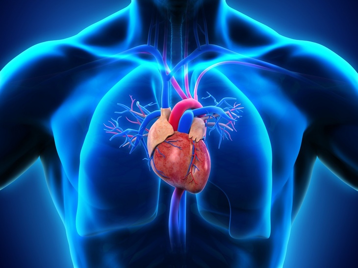 Музыка Штрауса не поможет: врач Мясников назвал семь главных правил для сохранения сердца 