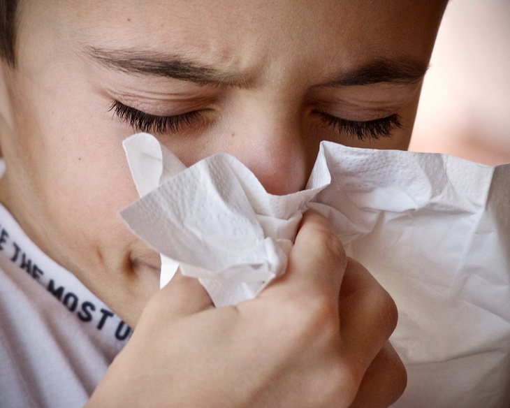 Катастрофические последствия для организма: лор назвал главные опасности чихания с закрытым ртом