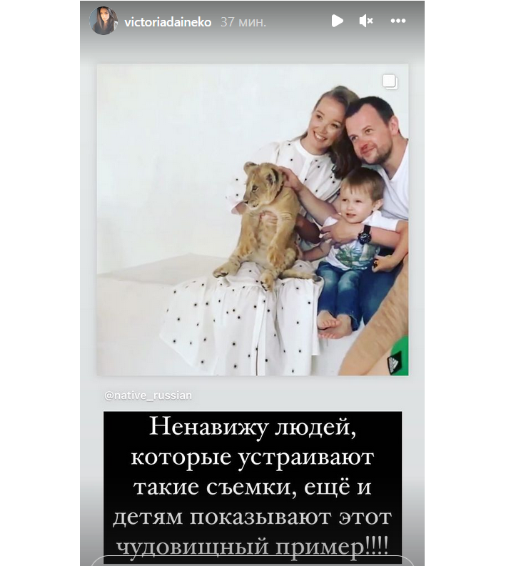 «Ненавижу людей!»: Дайнеко против использования диких животных в фотосессиях