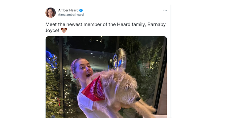 Эмбер Херд назвала нового питомца в честь австралийского политика, требовавшего усыпить ее собак