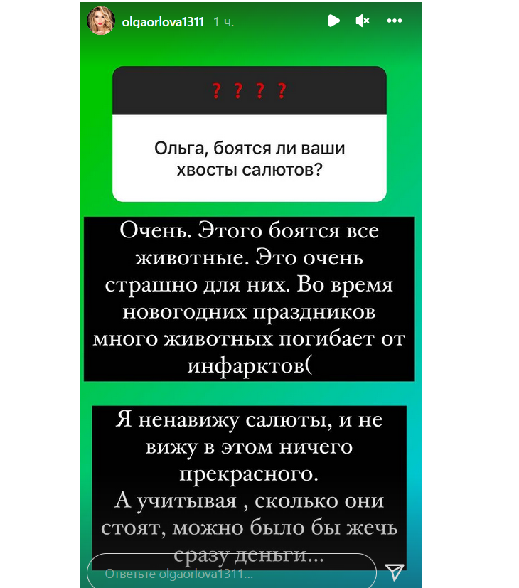 «Погибают от инфарктов»: Орлова заявила, что ненавидит новогодние салюты