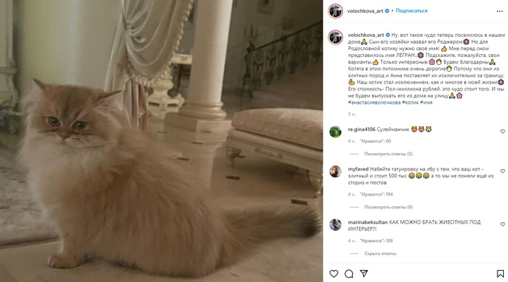 Анастасия Волочкова показала очаровательного малыша, которого забрала к себе домой