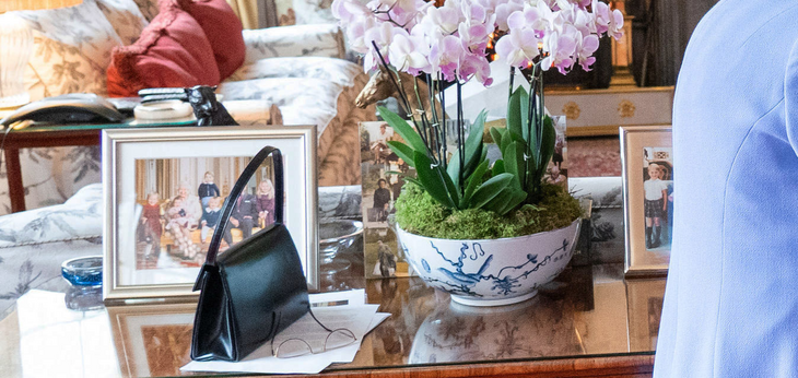 Елизавета II случайно показала неизвестное ранее фото с правнуками и принцем Филиппом