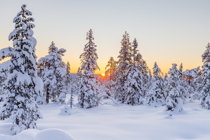 29 декабря: какой сегодня праздник, какая примета обещает долгую зиму, у кого именины