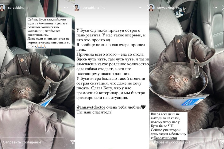 Серябкина «забила» на свой блог из-за проблем в семье