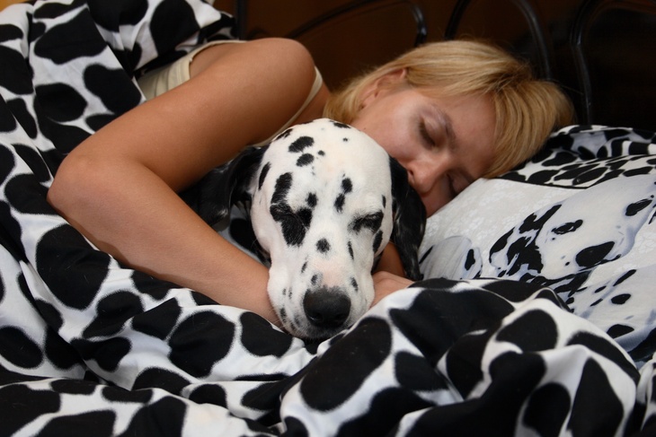 Кромешная тьма в спальне может спасти от развития рака Кромешная тьма в спальне может спасти от развития рака