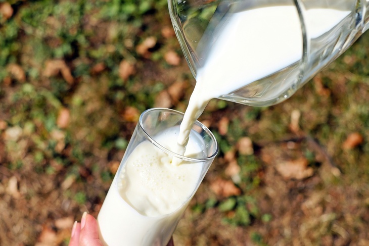 Принципиальной разницы нет: врач Комаровский развеял очень популярный миф о молоке